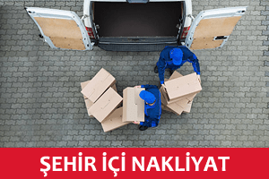 Şehir İçi Nakliyat Şehir İçi Nakliyat